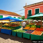 맛 교육의 지속 가능성  환경적 관점 - A vibrant farmers' market scene in a Brazilian town square during the morning, featuring diverse loc...